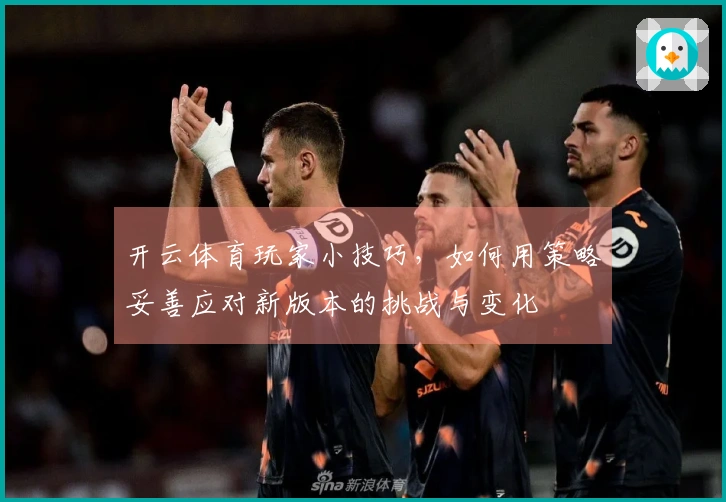 开云体育玩家小技巧，如何用策略妥善应对新版本的挑战与变化